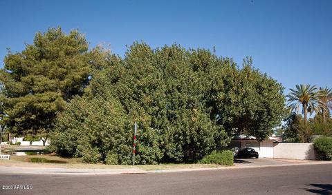 1348 E Missouri Ave, Phoenix, AZ 85014 photo 2
