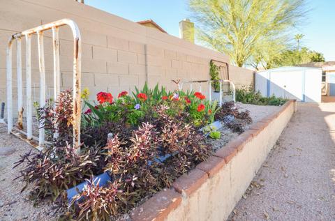 4633 E Buist Ave, Phoenix, AZ 85044 photo 36