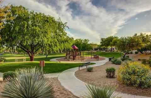 3935 E Rough Rider Rd #1005, Phoenix, AZ 85050 photo 19