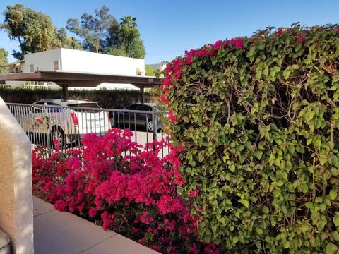 720 E Alice Ave #201, Phoenix, AZ 85020 photo 24