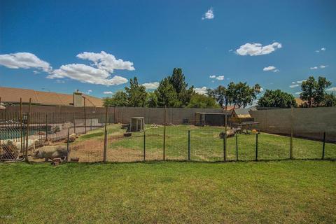 2523 E Omega Cir, Mesa, AZ 85213 photo 63