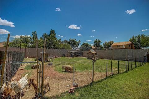 2523 E Omega Cir, Mesa, AZ 85213 photo 57