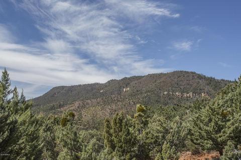 4342 N Lodgepole Cir, Pine, AZ 85544 photo 14