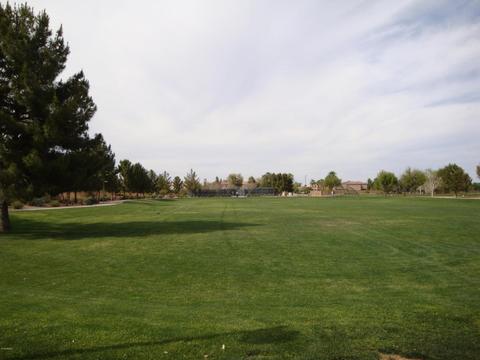 1131 E Lowell Ct, Gilbert, AZ 85295 photo 17