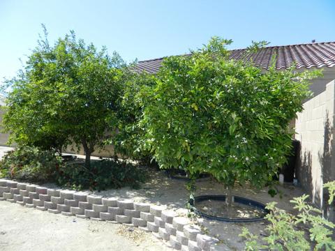 30302 W Whitton Ave, Buckeye, AZ 85396 photo 22
