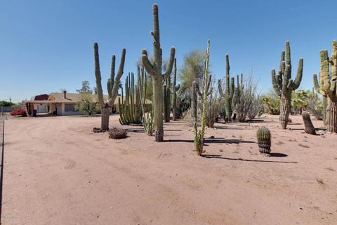 11021 E Broadway Rd, Mesa, AZ 85208 photo 33