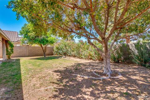 1448 N Saddle St, Gilbert, AZ 85233 photo 23