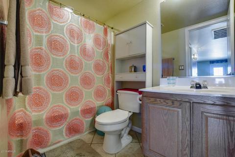 4607 E Verbena Dr, Phoenix, AZ 85044 photo 17