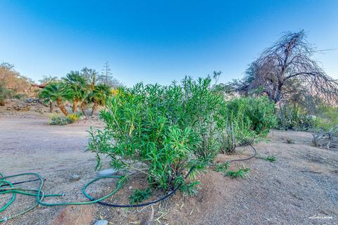3216 N 91st St, Mesa, AZ 85207 photo 99