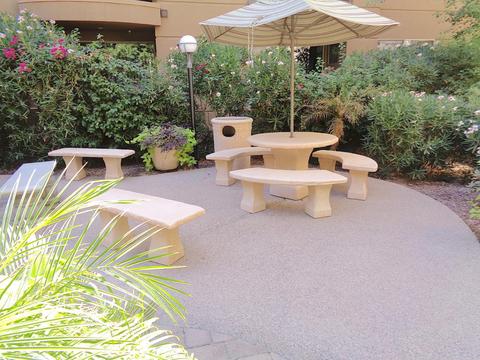 1701 E Colter St #408, Phoenix, AZ 85016 photo 39