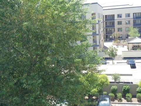 1701 E Colter St #408, Phoenix, AZ 85016 photo 28