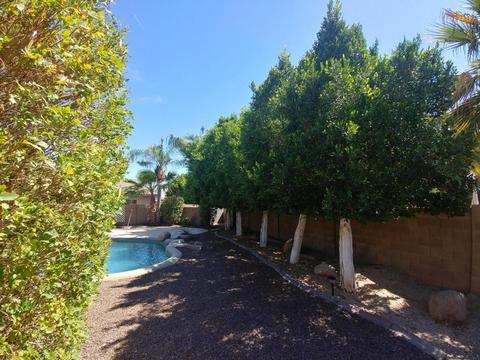 506 E Windsor Dr, Gilbert, AZ 85296 photo 24