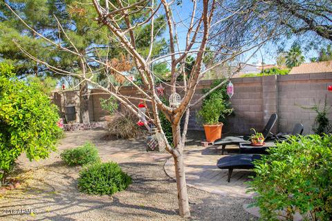 1033 E Brentrup Dr, Tempe, AZ 85283 photo 32