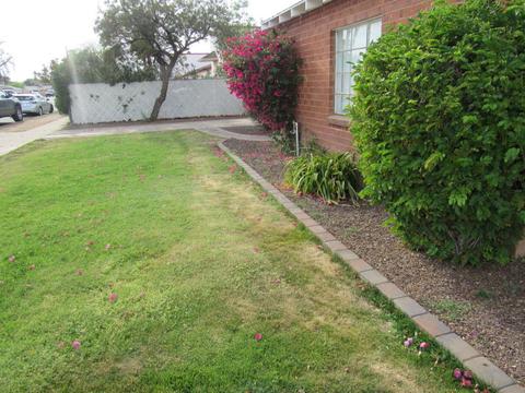 2916 E Brill St, Phoenix, AZ 85008 photo 4