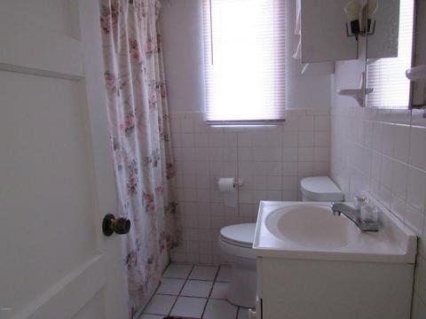 2916 E Brill St, Phoenix, AZ 85008 photo 16