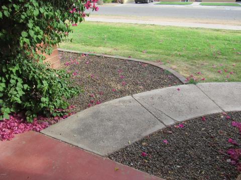 2916 E Brill St, Phoenix, AZ 85008 photo 6
