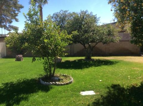 2417 E North Ln, Phoenix, AZ 85028 photo 23
