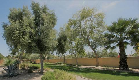 7740 E Auburn St, Mesa, AZ 85207 photo 27