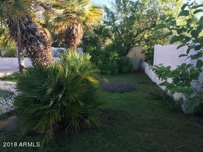 4602 E Via Estrella --, Phoenix, AZ 85028 photo 58