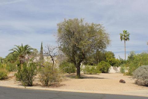 4602 E Via Estrella --, Phoenix, AZ 85028 photo 26