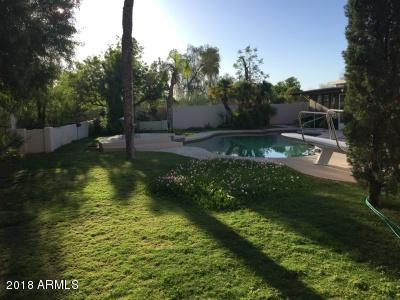 4602 E Via Estrella --, Phoenix, AZ 85028 photo 53