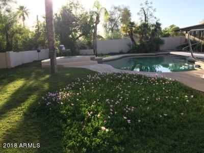 4602 E Via Estrella --, Phoenix, AZ 85028 photo 51