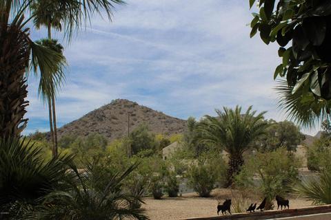 4602 E Via Estrella --, Phoenix, AZ 85028 photo 59
