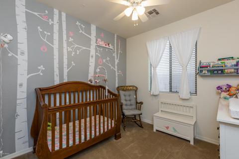 1282 E Frances Ln, Gilbert, AZ 85295 photo 17
