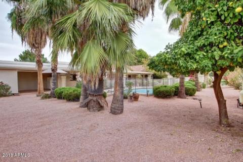 4511 E Cholla St, Phoenix, AZ 85028 photo 7