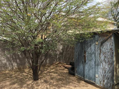 2042 E Oak St, Phoenix, AZ 85006 photo 32