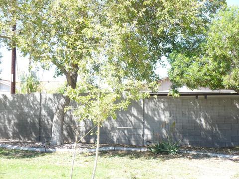 28 E Mckinley Cir, Tempe, AZ 85288 photo 29