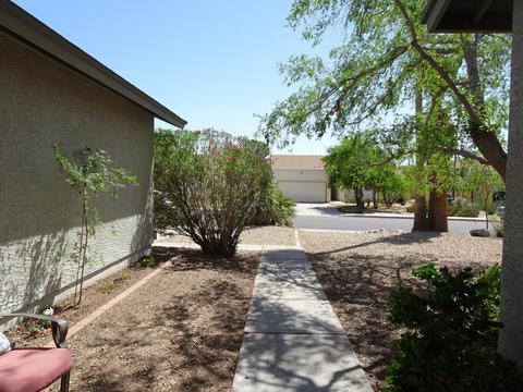 1256 E Wescott Dr, Phoenix, AZ 85024 photo 94