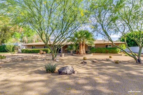 531 W Why Worry Ln, Phoenix, AZ 85021 photo 9