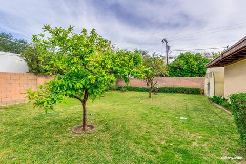 531 W Why Worry Ln, Phoenix, AZ 85021 photo 5