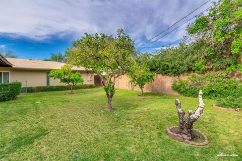 531 W Why Worry Ln, Phoenix, AZ 85021 photo 51