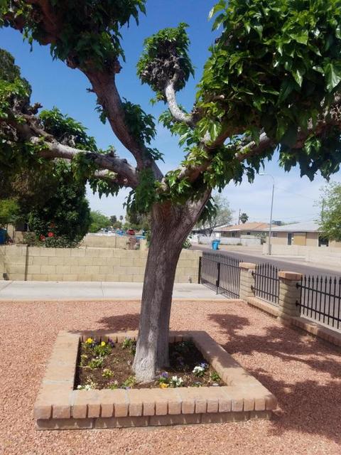 2905 W Heatherbrae Dr, Phoenix, AZ 85017 photo 10