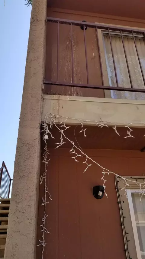 2838 E Marconi Ave, Phoenix, AZ 85032 photo 27