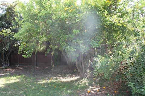511 W Puget Ave, Phoenix, AZ 85021 photo 48