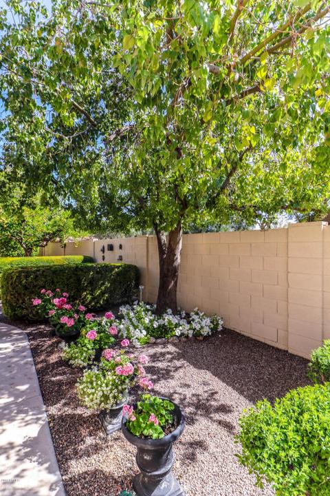 341 E Stonebridge Dr, Gilbert, AZ 85234 photo 21