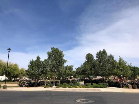 4116 E Oakland St, Gilbert, AZ 85295 photo 32