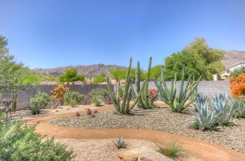 15006 S 13th Pl, Phoenix, AZ 85048 photo 44