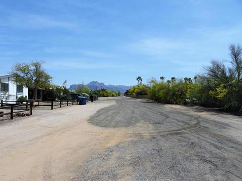 3082 W Mockingbird St, Apache Junction, AZ 85120 photo 28
