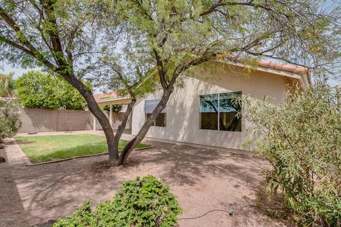 3031 E Redwood Ln, Phoenix, AZ 85048 photo 6