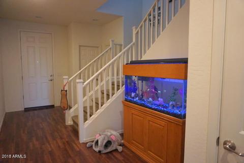 5625 E Alder Ave, Mesa, AZ 85206 photo 5