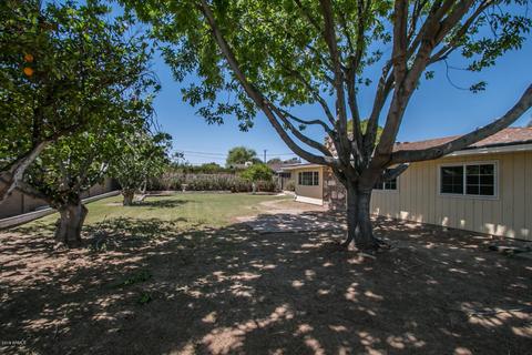 3809 Elm St, Phoenix, AZ 85018 photo 33