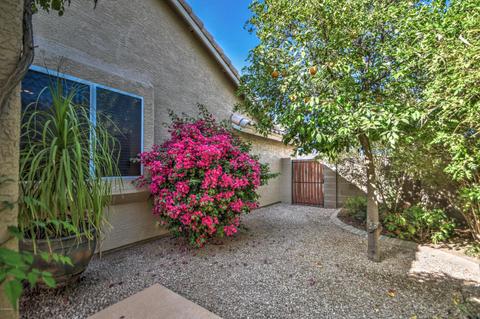 4241 E Desert Ln, Gilbert, AZ 85234 photo 39