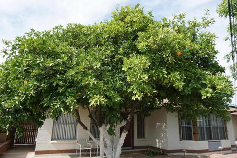 1861 E Concorda Dr, Tempe, AZ 85282 photo 41