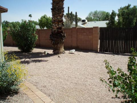 1861 E Concorda Dr, Tempe, AZ 85282 photo 46