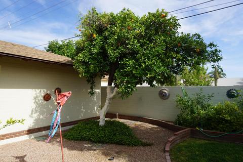 1861 E Concorda Dr, Tempe, AZ 85282 photo 47