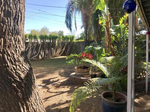 1220 E Sahuaro Dr, Phoenix, AZ 85020 photo 12